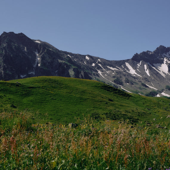 A green mountainside below a rock face in summer