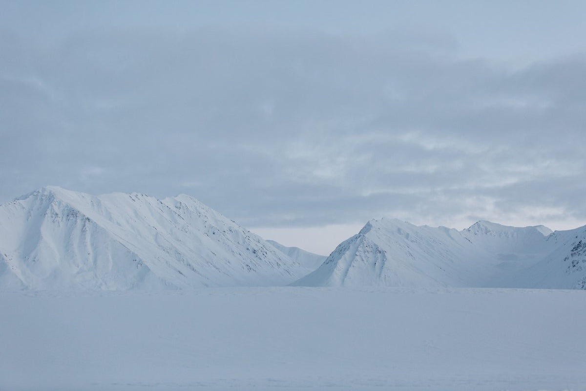Pale snow-covered peaks under a soft winter sky.