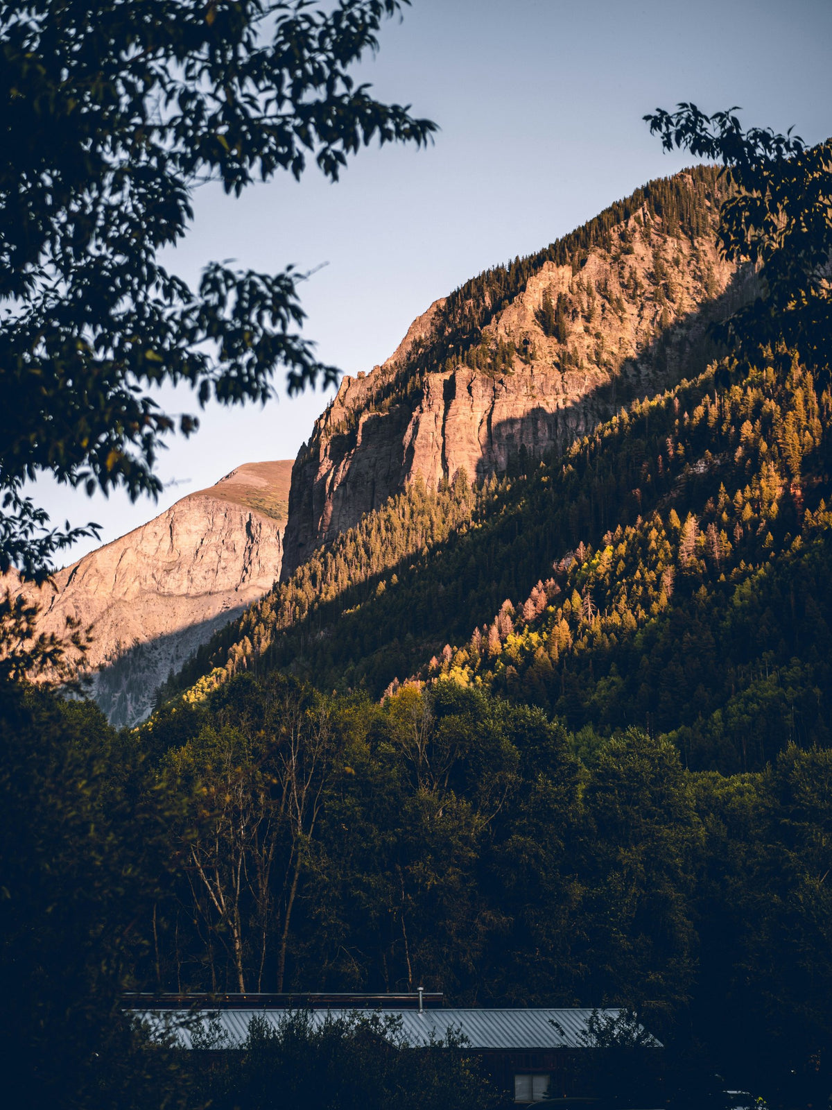 A rock face above an autumn treeline in late afternoon light